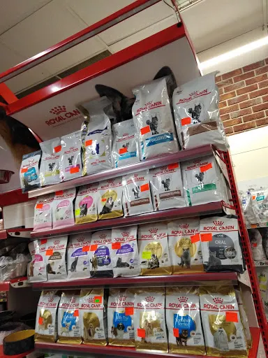 Foczka Sklep Zoologiczny